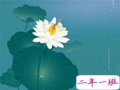 2019夏至节气说说心情短语 夏至微信说说唯美好听