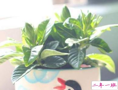 毕业说说短句经典大全2019 毕业的青春句子简短2