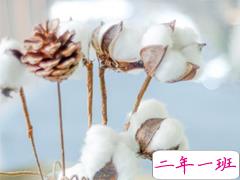 2019五月再见六月你好的心情说说 6月朋友圈说说文艺范