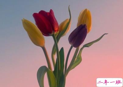 2019六月空间置顶的说说 六月朋友圈精致说说1