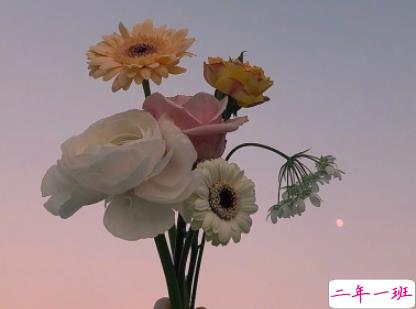 2019六月空间置顶的说说 六月朋友圈精致说说2