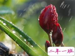 心情郁闷很烦躁的说说 极度不开心的微信说说