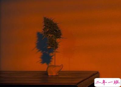 一个人心情不好的qq说说 受了伤的揪心说说大全1