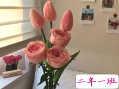 2019年520微信说说大全 5月20日00:00置顶的句子