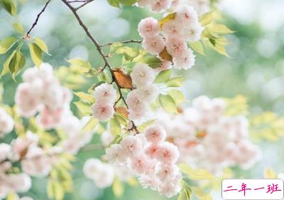  2019母亲节早安心语大全 母亲节快乐微信心情说说1