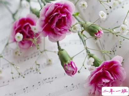 2019母亲节给婆婆的祝福语大全 母亲节送花祝福语1