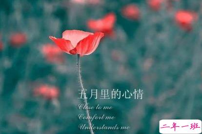 2019五月发朋友圈的高质量句子 五月你好心情说说1