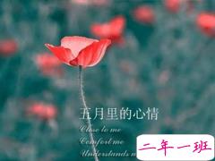 2019五月发朋友圈的高质量句子 五月你好心情说说