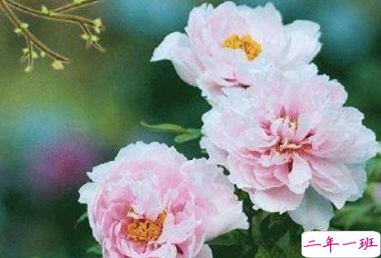 2019谷雨发微信短信的祝福语合集 谷雨节气送祝福说说1