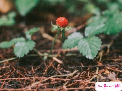 2019谷雨发微信短信的祝福语合集 谷雨节气送祝福说说2