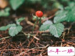 2019谷雨发微信短信的祝福语合集 谷雨节气送祝福说说