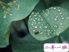 2019谷雨节气朋友圈早安心语 谷雨美好心情说说