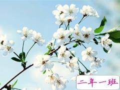 qq说说春天唯美小清新 春天的唯美短句子说说