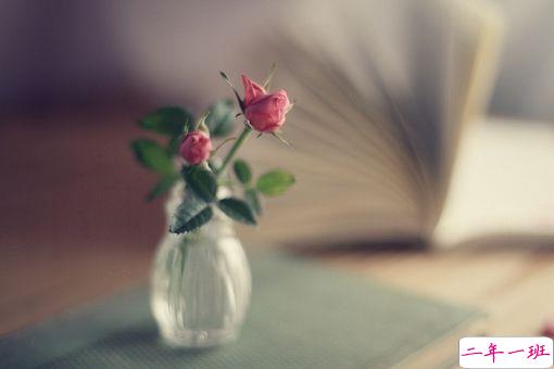 生活好累好无奈的说说 烦心事太多的说说2