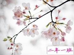 2019清明节祝福语说说大全 清明节祝福语简短优美