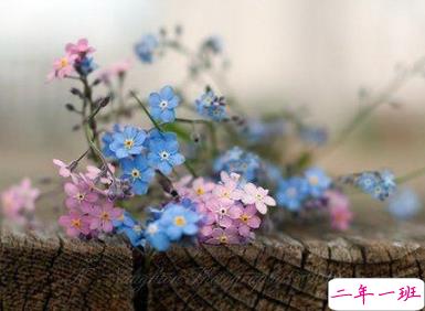 2019四月微信说说心情短语 四月你好一句话说说1