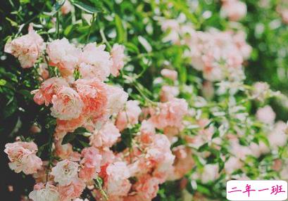 2019四月微信说说心情短语 四月你好一句话说说2