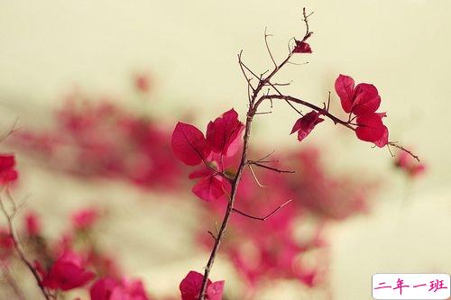 出去玩的心情说说简短2019 出去游玩的微信朋友圈说说2