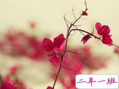 出去玩的心情说说简短2019 出去游玩的微信朋友圈说说