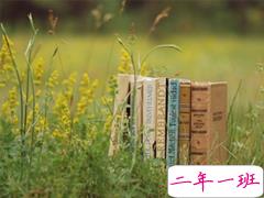 适合春天发的朋友圈唯美句子 2019春天赏花的心情说说