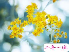 2019春分朋友圈心情说说大全 春分节气微信简短说说