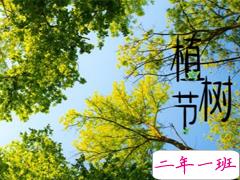 2019植树节朋友圈说说大全 312关于植树节的心情说说