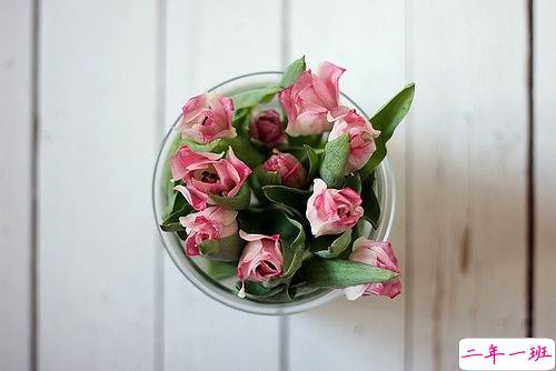 早安说说励志致自己一句话 简短正能量的早安说说大全2