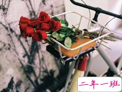 2019晚安心语心情说说大全 每天睡前一句晚安说说致所有人