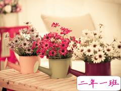 2019三月穿暖花开的说说心情短语 三月来了微信唯美句子大全