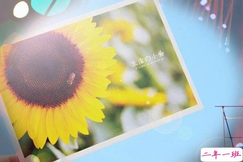 2019二月你好三月再见说说心情短语 三月请对我好一点唯美说说2