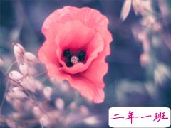 2019最新三月心情说说有点伤感 心里不是滋味的说说短句