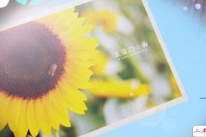 2019二月你好三月再见说说心情短语 三月请对我好一点唯美说说