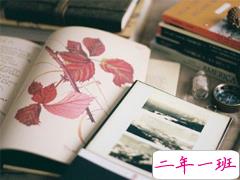 2019晚安说说致自己一句话 女生睡前发朋友圈的短句