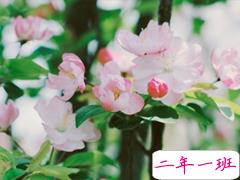 最新微信唯美说说大全女生专属 女生都爱的文艺小清新心情说说