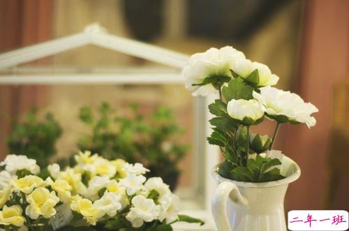 2019情人节朋友圈说说心情短语 抖音最火情人节说说大全2