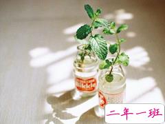 2019情人节朋友圈说说心情短语 抖音最火情人节说说大全