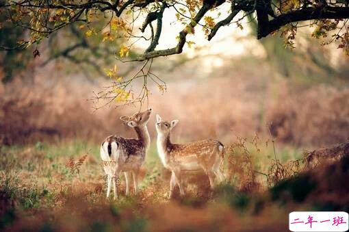 2019二月早安心语简单一句话 二月你好正能量心情说说2