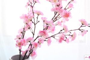 2019过年微信朋友圈说说大全 回家过年说说心情短语很温暖