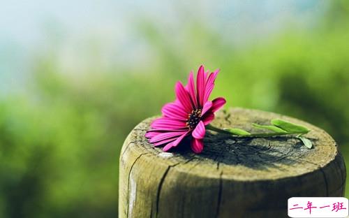 2019二月第一天怎么发朋友圈 2019二月微信正能量早安说说1