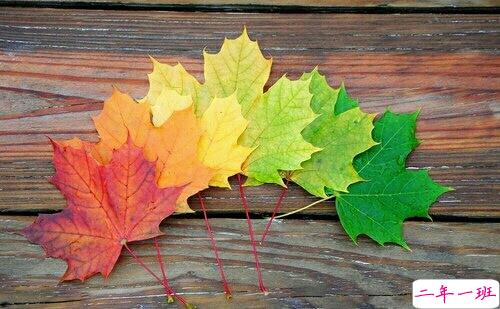 写给闺蜜的一些说说句子很煽情 暖心的闺蜜说说简单却让人感动2