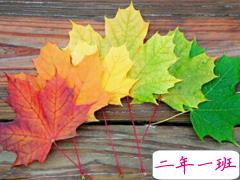 写给闺蜜的一些说说句子很煽情 暖心的闺蜜说说简单却让人感动