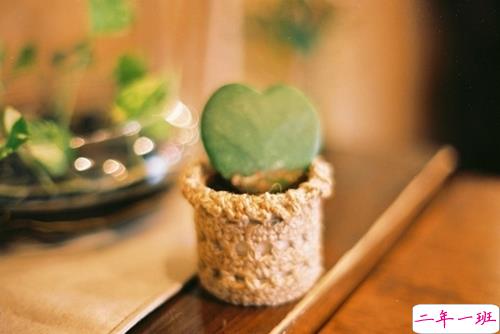 偶尔有点小伤感的心情说说 学会自我安慰的说说2