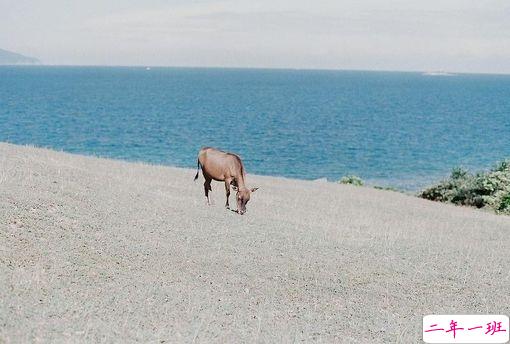 比较特别的女生说说2019精选带图片 忍不住想点赞的女生说说8