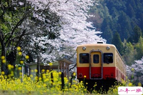 比较特别的女生说说2019精选带图片 忍不住想点赞的女生说说9