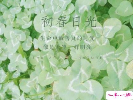 2019年第一天微信早安说说 猪年早安说说大全1