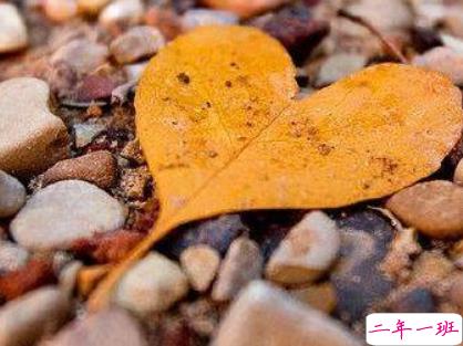 2019年第一天微信早安说说 猪年早安说说大全2