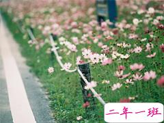 2018最后一天对自己说的话经典版 致即将逝去的2018！