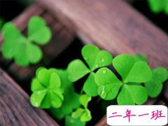 迎接2019元旦说说适合发朋友圈 2019年猪年元旦说说早安一句话