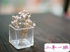 qq日常心情说说温馨句子 发自拍照的朋友圈说说简单点