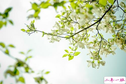 给人正能量的早安句子2019精选 早安说说简短经典一句话1